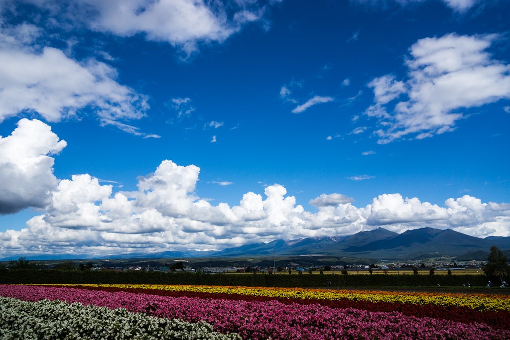 Furano landscape